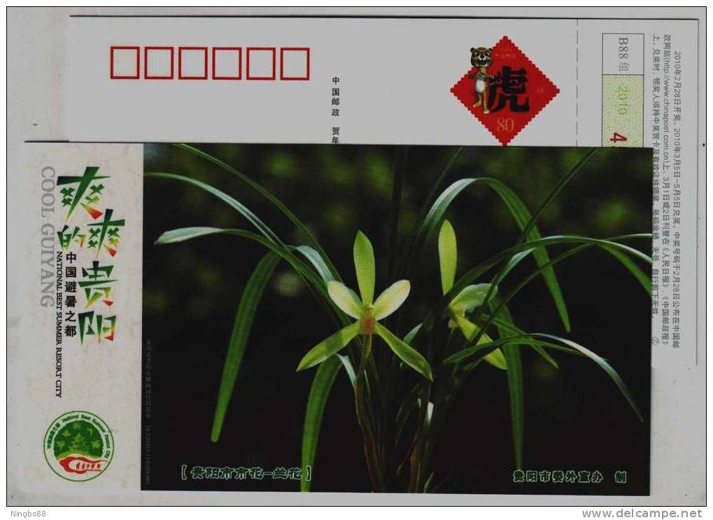 Guiyang City Flower Orchid,China 2010 Guizhou Advertising Postal Stationery Card - Orchids