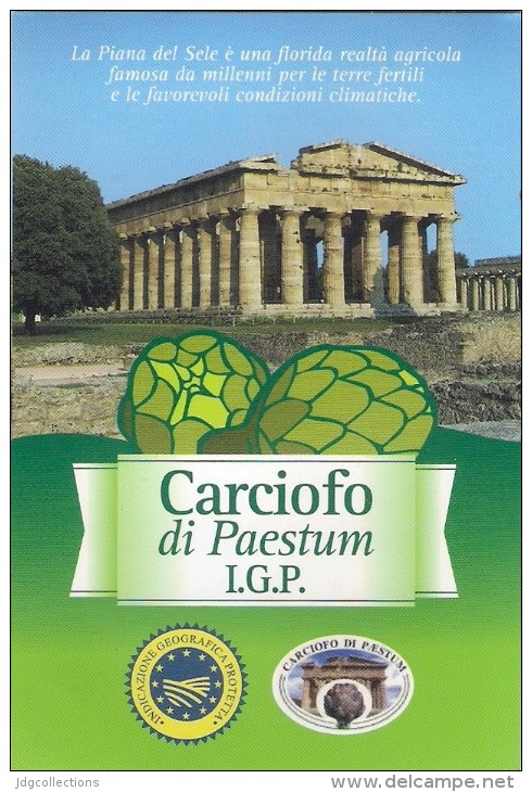 # CARCIOFO DI PAESTUM Tag Balise Etiqueta Anhänger Cartellino Vegetables Gemüse Legumes Verduras Artichoke - Fruits & Vegetables