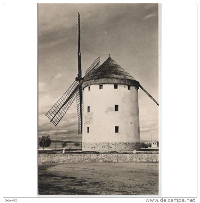 CDRLTP5390-LFTMD1726.Tarjeta Postal DE CIUDAD REAL.Campo T MOLINO DE VIENTO En VALDEPEÑAS - Ciudad Real