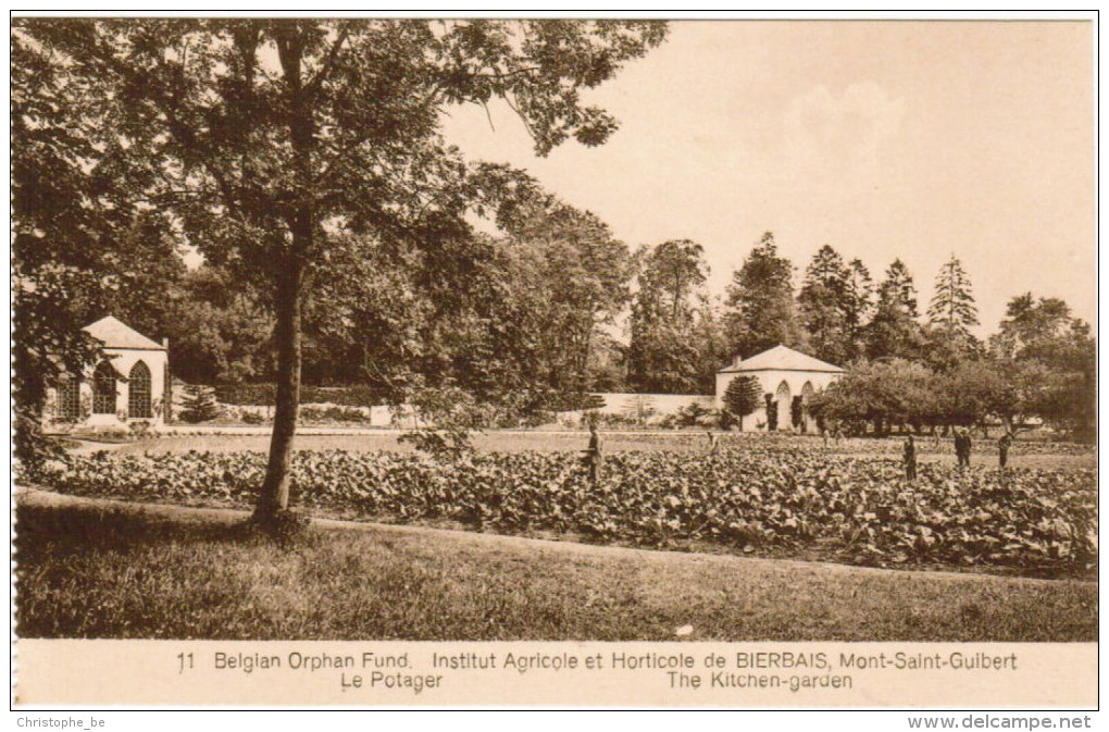 Institut Agricole Et Horticole De Bierbais, Mont Saint Guibert, Le Potager (pk21564) - Mont-Saint-Guibert