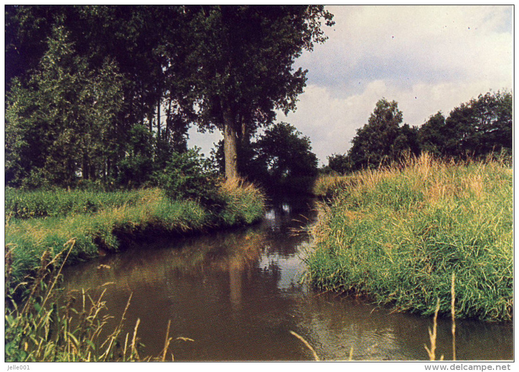 Meerhout Grote Nete 1 - Meerhout