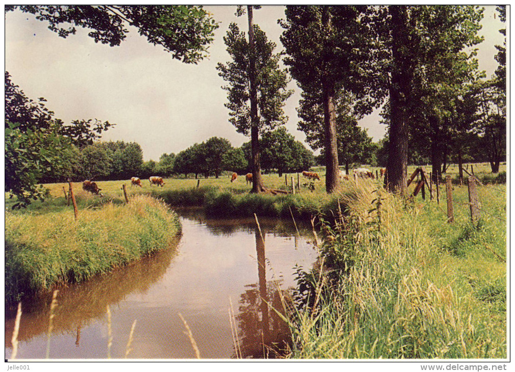 Meerhout Grote Nete 2 - Meerhout