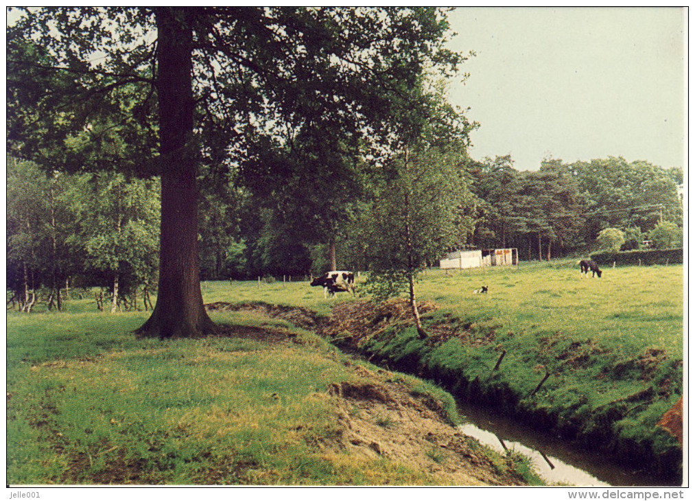 Meerhout  De Hutten - Meerhout