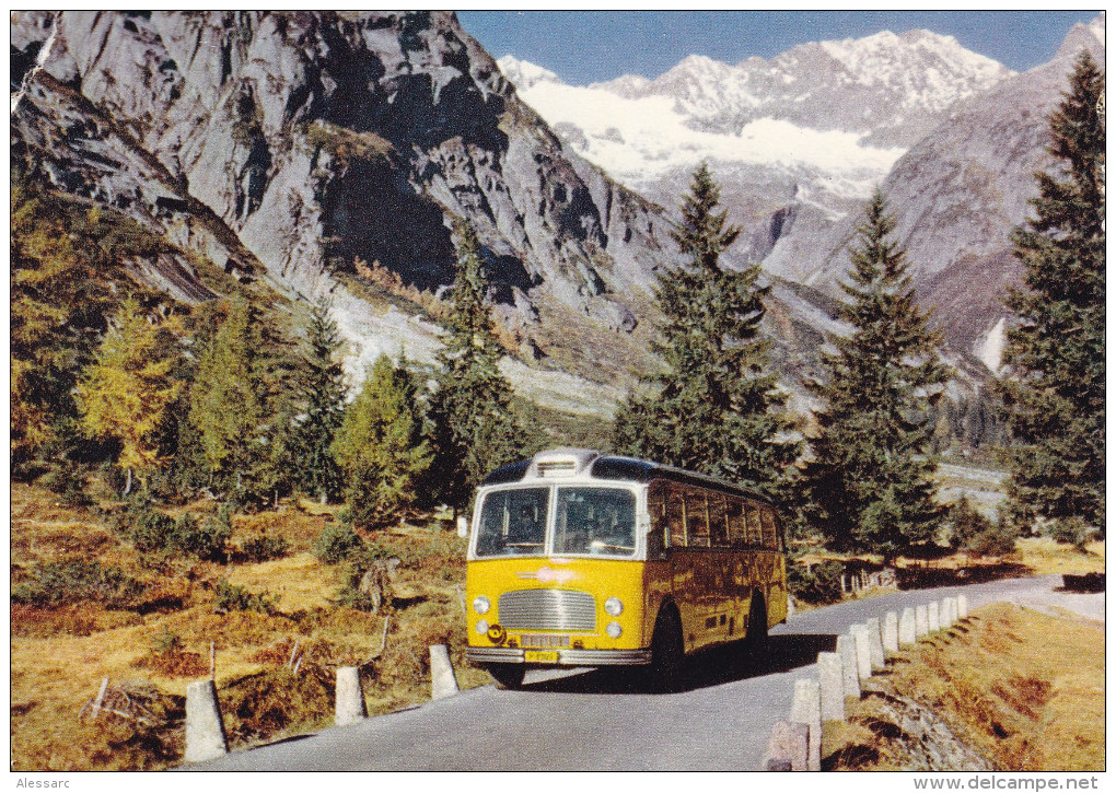 Poste Alpine Svizzere Autocars Postaux Suisses Schweizer Alpenpost Swiss Alpine Postal Buses (Grimselpass) 1960 - Poste & Facteurs