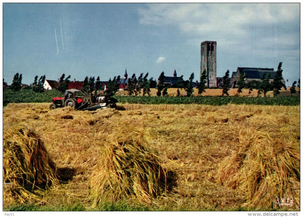 BELGIQUE - FLANDRE OCCIDENTALE - DAMME - Algemeen Zicht - Vue Générale. - Damme