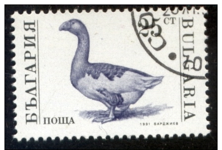 Bulgarije 1991, Bulgaria, Bulgarie, Bulgarien, Animals, Bird, Goose, SG 3729, Mi. 3924, YT 3392, Sc 3582 - Gebruikt