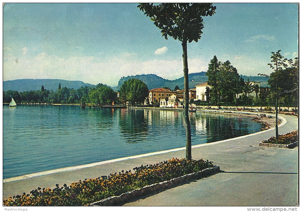 BARDOLINO  VERONA  Lungolago  Panorama Con Lago Di Garda - Verona