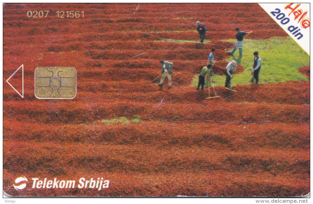 SERBIA  Phonecard With Chip / Farmland / Field - Autres - Europe