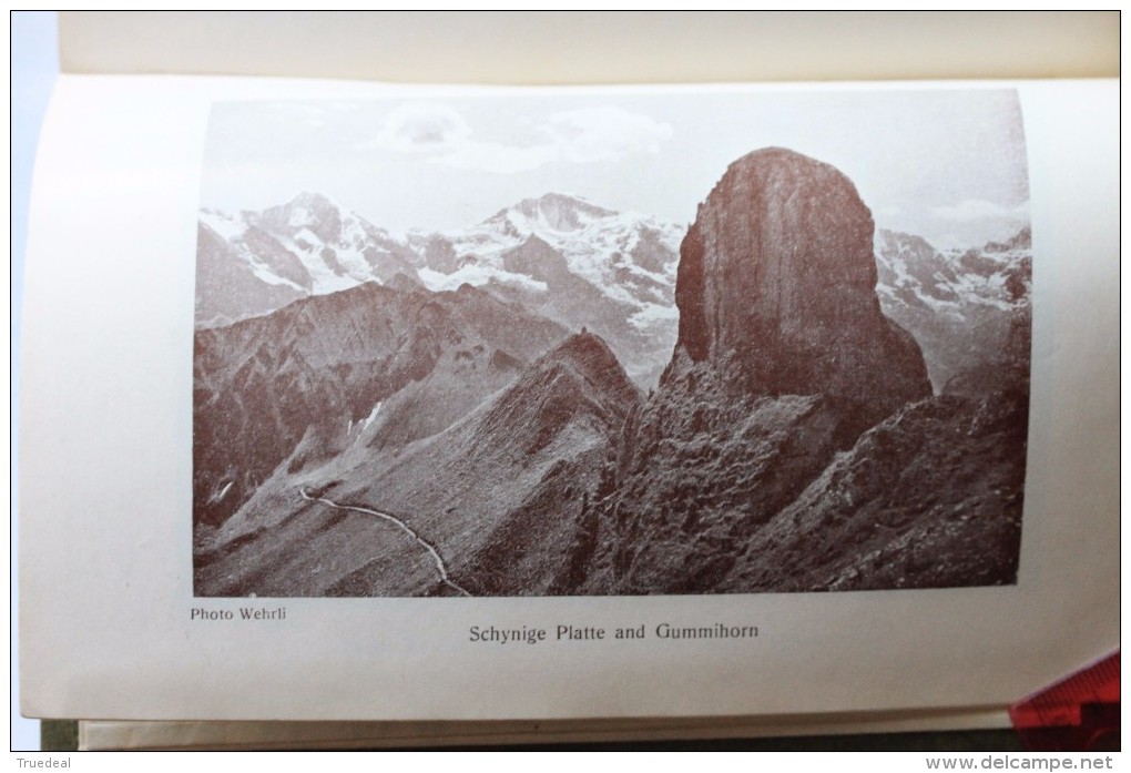 ILLUSTRATED GUIDE TO THE BERNESE OBERLAND, SWITZERLAND