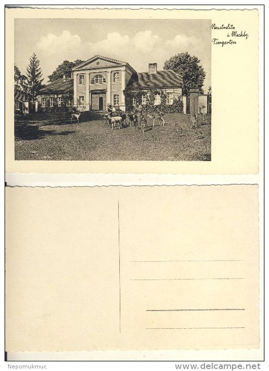 AK Neustrelitz Tiergarten Nicht Gel. Ca. 1920er S/w (324-AK038) - Neustrelitz