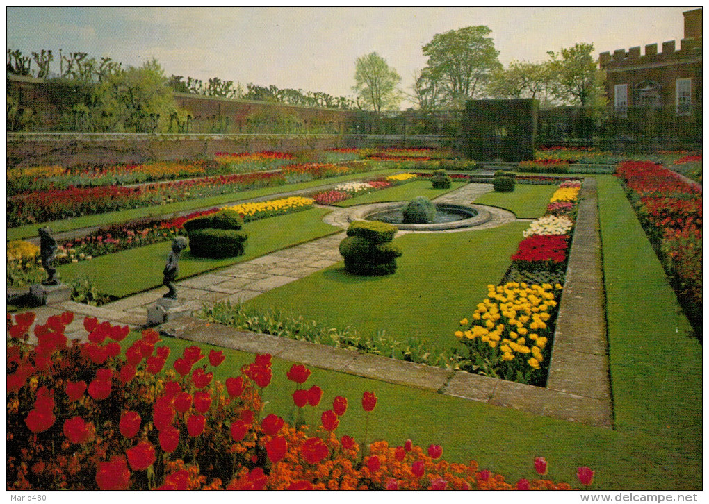 MIDDLESEX   HAMPTON COURT PALACE     THE POND  GARDEN   (NUOVA) - Middlesex