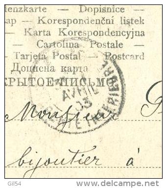 Comte Tolstoî- Affranchie En 1903 Timbres Oblitéré "cachet A Date  Bapwaba ( Varsovie ) - Lm19814 - Briefe U. Dokumente