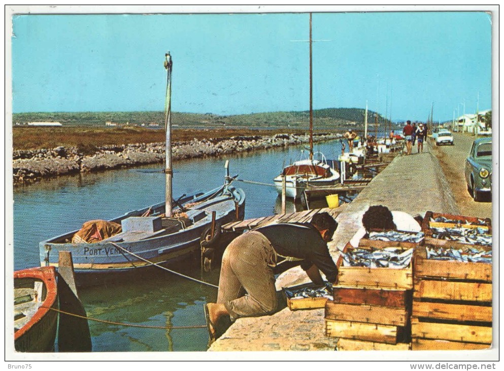 11 - GRUISSAN-PLAGE - Retour Des Sardiniers, Le Canal - 1966 - Autres & Non Classés