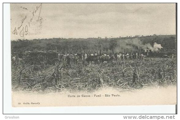 CORTE DE CANNA FUNIL SAO PAULO 73 - São Paulo