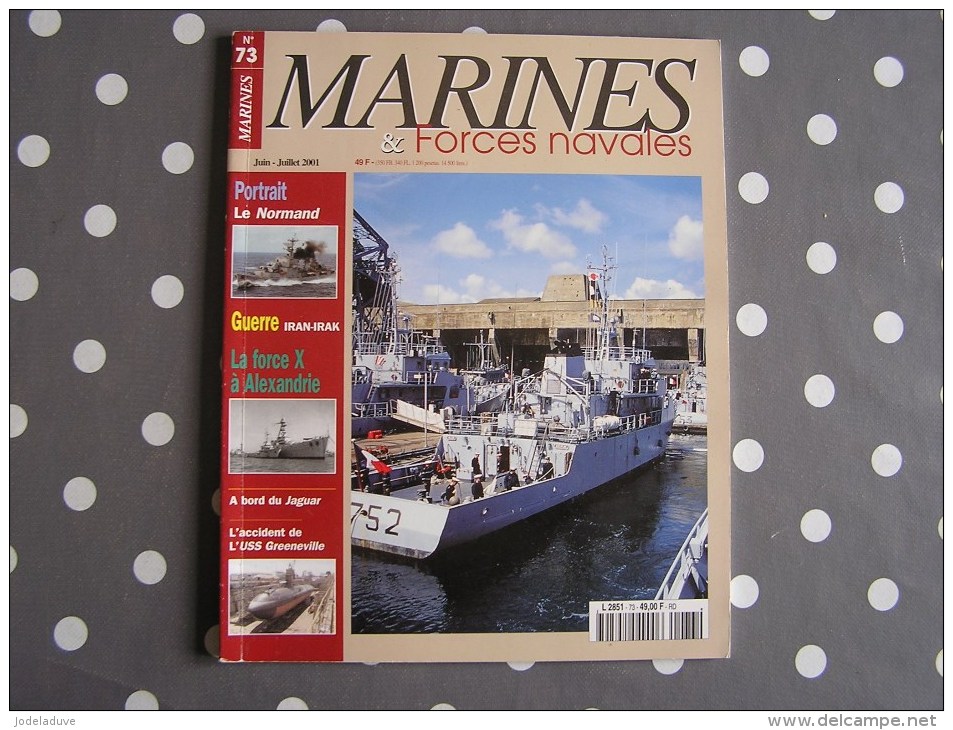 MARINES ET FORCES NAVALES N° 73 Histoire Marine Boat Bateau Sous Marins Porte Avions Marin Mer Navire Guerre Iran Irak - Boats