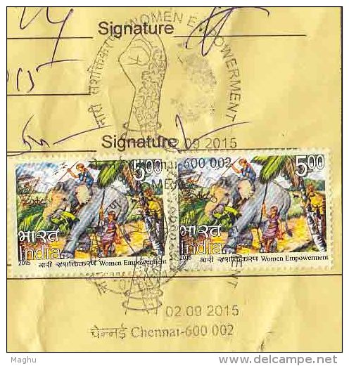 Elephant, Swing Game, Etc.,  First Day Cancel On Security Label / Packing Slip, Women , 2015 Issue, As Scan - Elephants