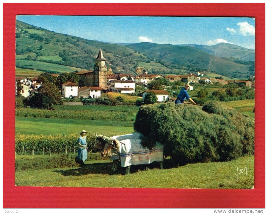 Pyrénées Atlantiques - AINHOA - Village Type Du Pays Basque ...( Attelage ... Récolte ... Agriculture ...) - Ainhoa