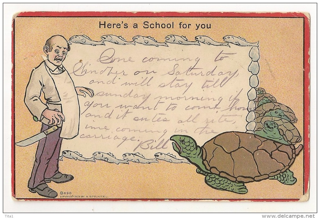 T932 - Here's A School For You - Schildpadden