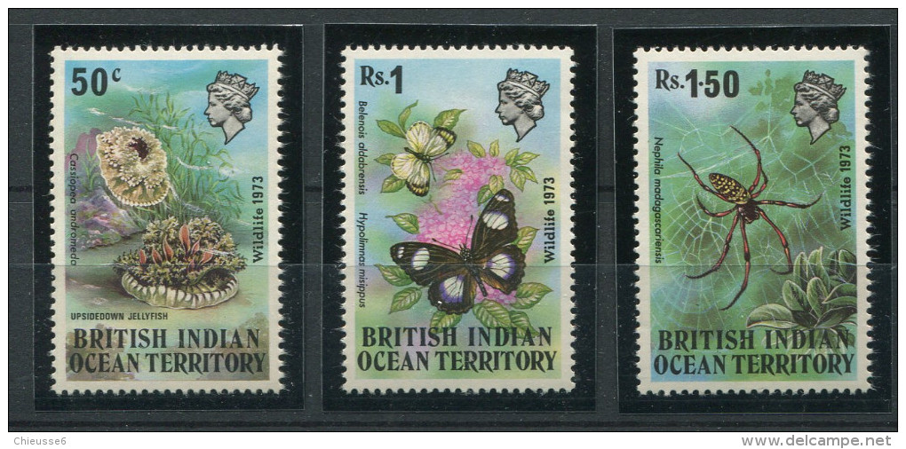 Ocean Indien **  N° 54 à 56 - Papillons , Araignées  - - Seychellen (1976-...)
