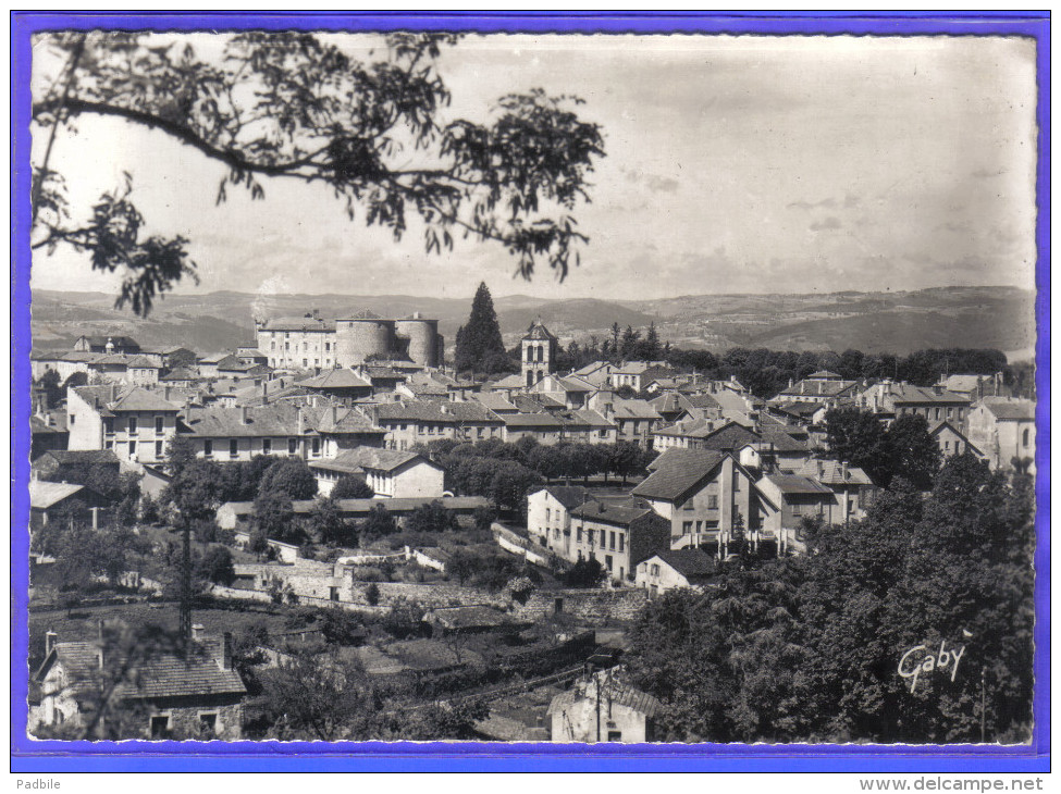 Carte Postale 43. Monistrol-sur-Loire  Trés Beau Plan - Monistrol Sur Loire