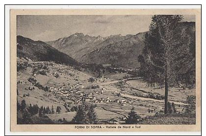 Italy, Forni Di Sopra, Vallete De Nord A Sud Postcard, B252 - Altri & Non Classificati