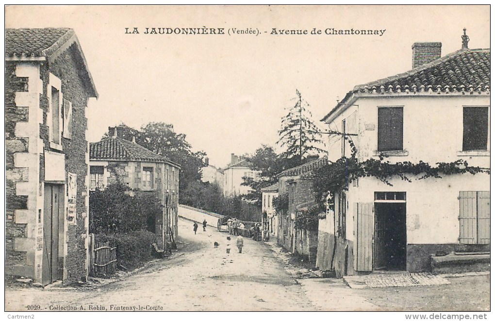 LA JAUDONNIERE AVENUE DE CHANTONNAY 85 VENDEE - Autres & Non Classés