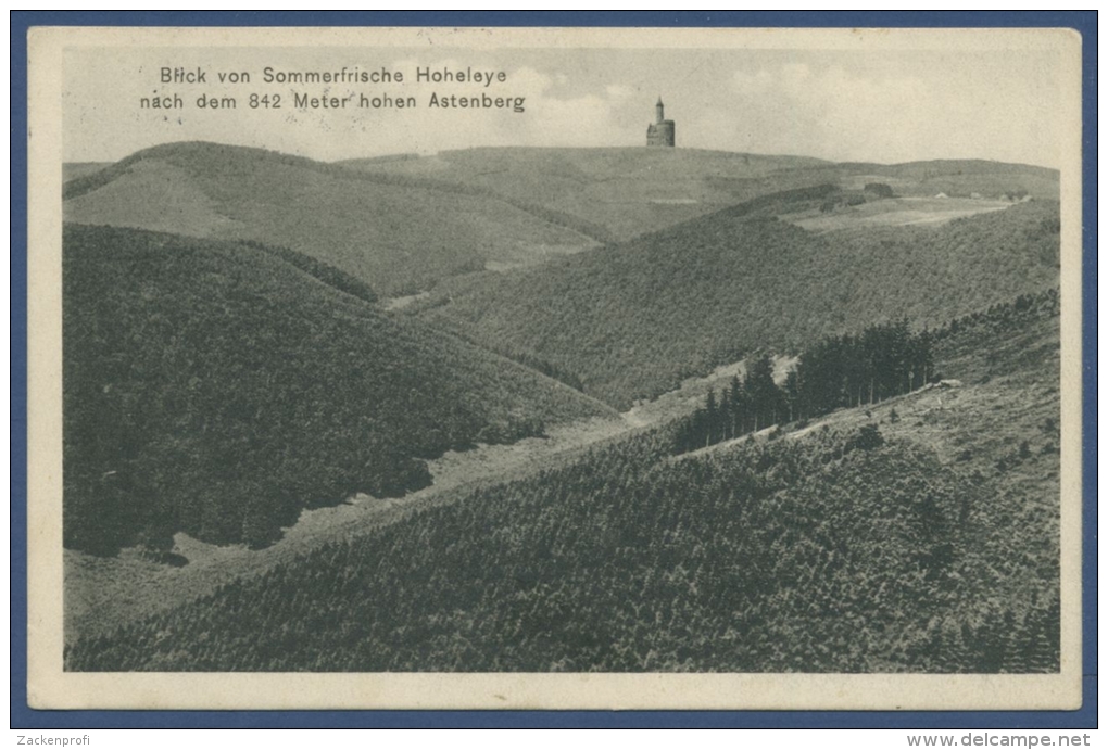 Blick Von Sommerfrische Hoheleye Zum Astenberg Sauerland, Gelaufen 1913 (AK600) - Winterberg