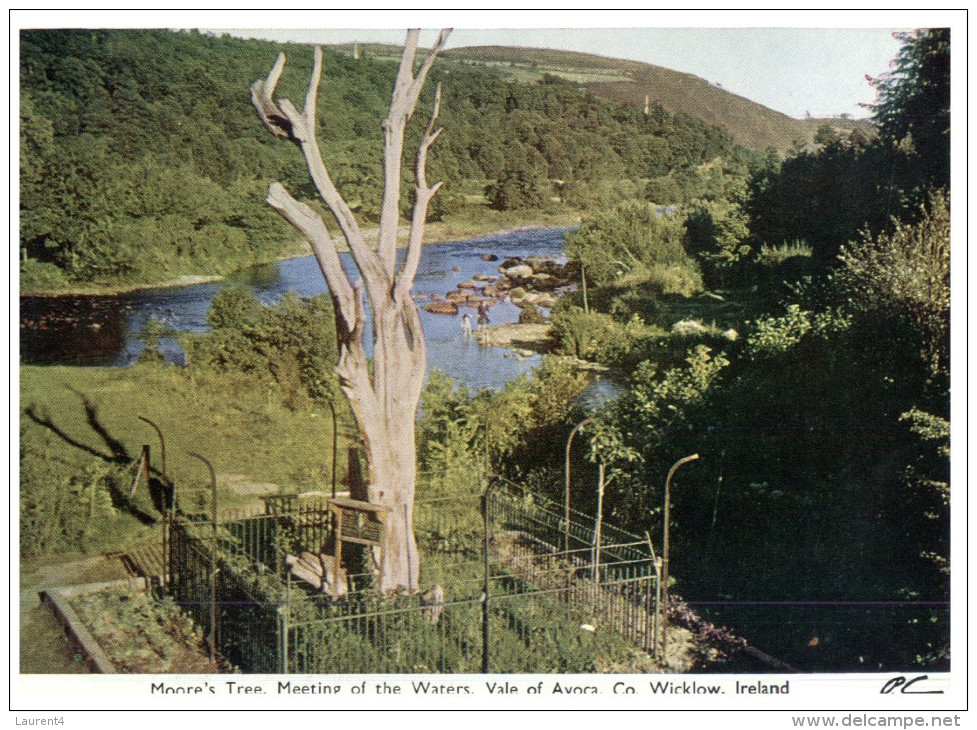 (PF 754) Ireland - Co Wicklow - Moore's Tree - Wicklow