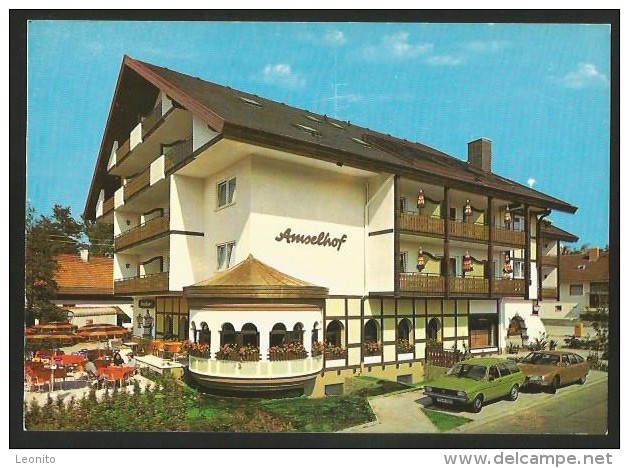 BAD KROZINGEN Breisgau Appartement Hotel AMSELHOF Restaurant AMSELNEST - Bad Krozingen