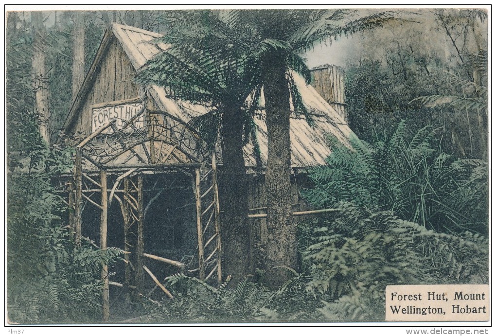 TASMANIA - Hobart - Forest Hut, Mount Wellington - Hobart