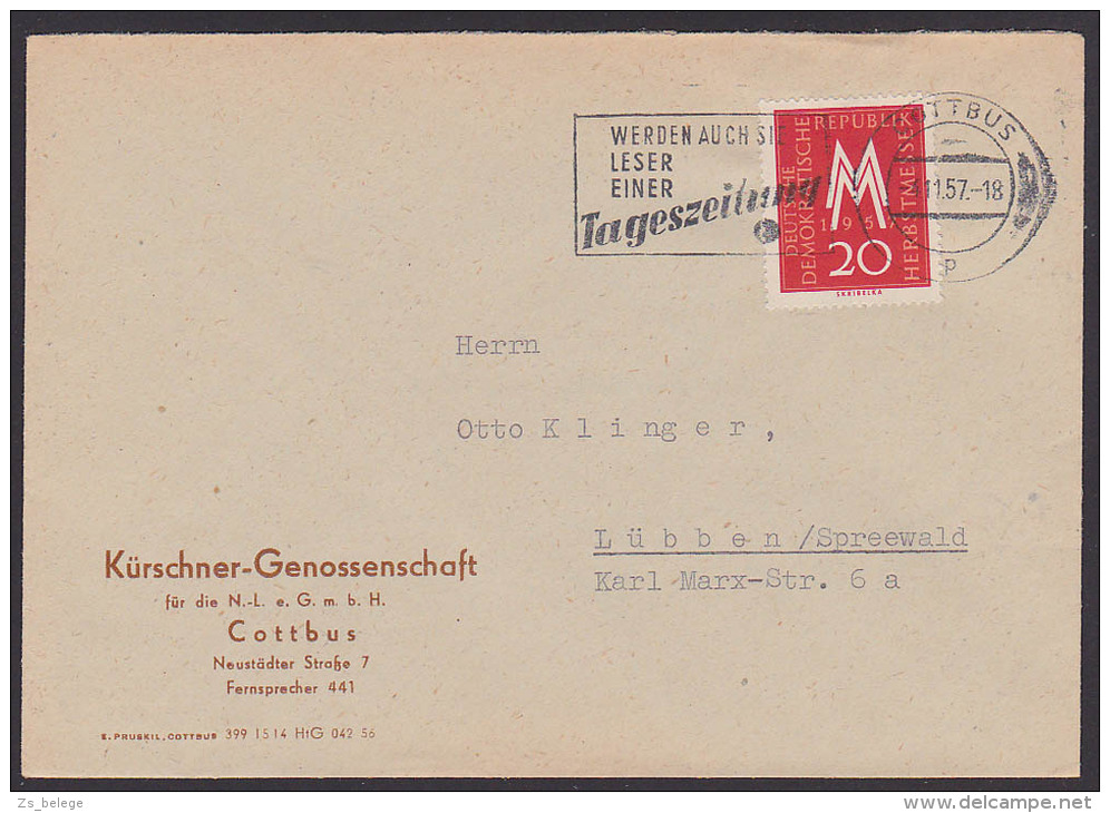 DDR MWSt. Cottbus "Werden Auch Sie Leser Einer Tageszeitung" 1957 Kürschner-Genossenschaft MM 1957 - Lettres & Documents