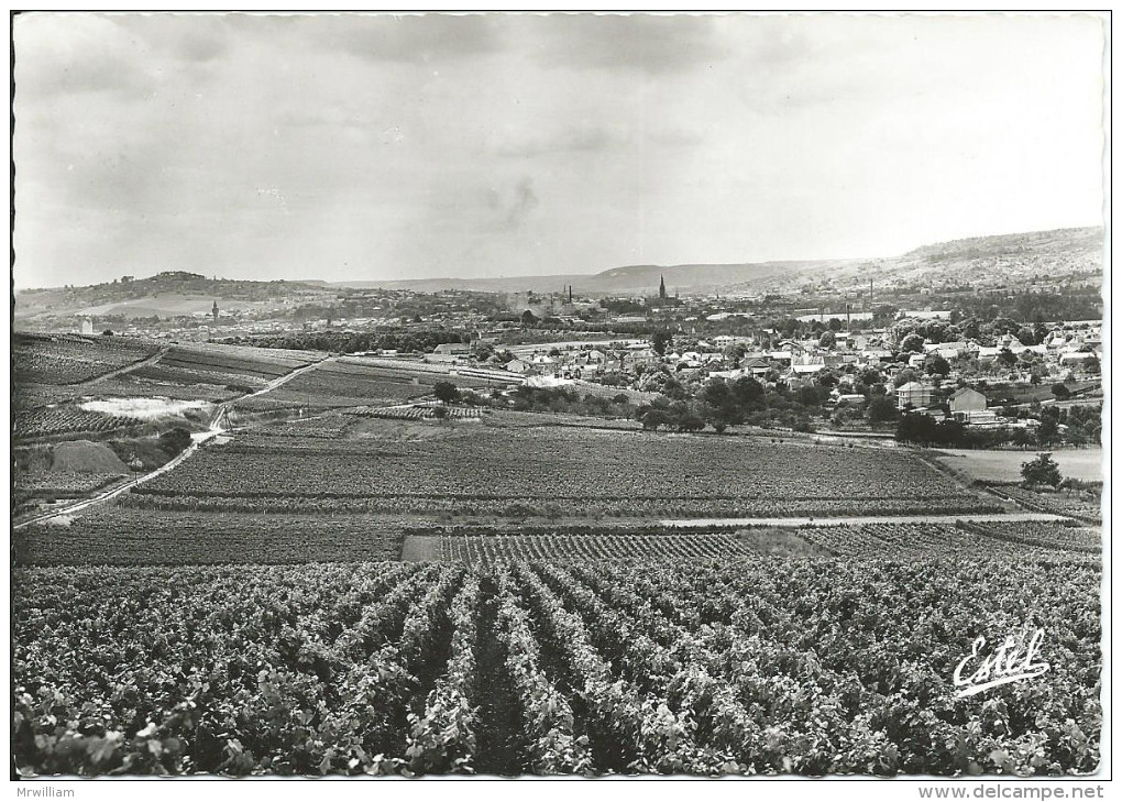 CPSM EPERNAY 51, Vue Générale D'Epernay Et Le Vignoble Champenois - Epernay