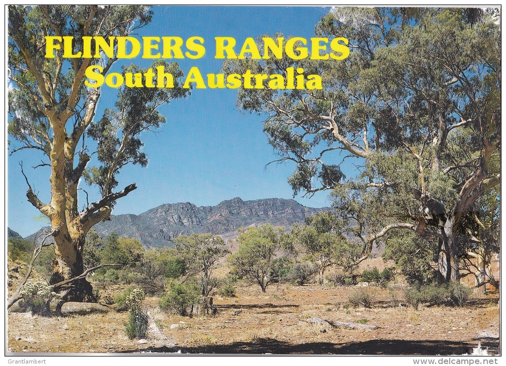 River Gums On Moralana Creek With Wilpena Pound, Flinders Ranges, SA - Prestige FR 70 Unused - Flinders Ranges