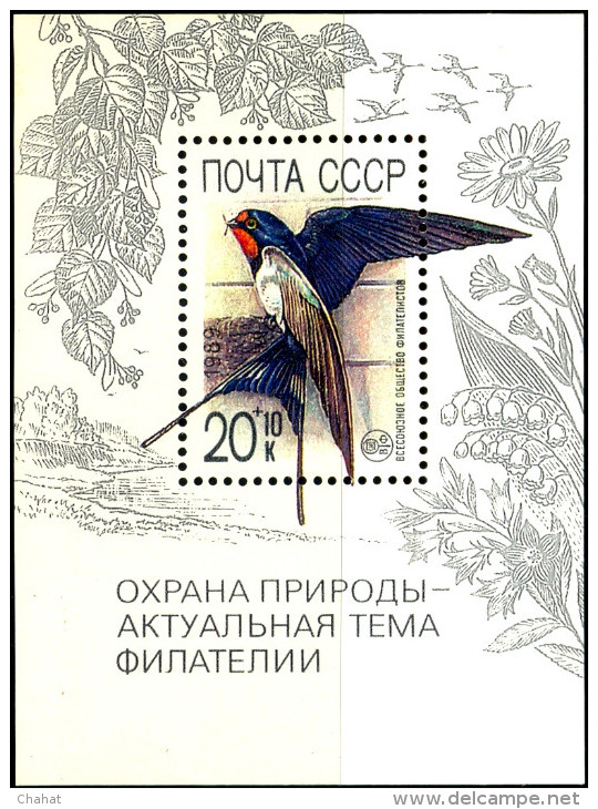 BIRDS-SWALLOW-RUSSIA-MS-MNH-683 - Pics & Grimpeurs