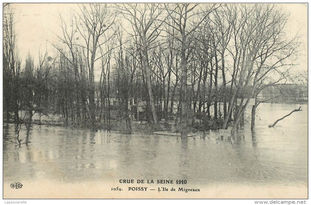 78-Poissy : Crue De La Seine -L'Ile De Migneaux (Publicité Potages Maggi) - Poissy