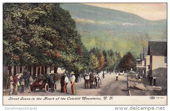 Street Scene In The Heart Of The Catskill Mountains New York - Catskills