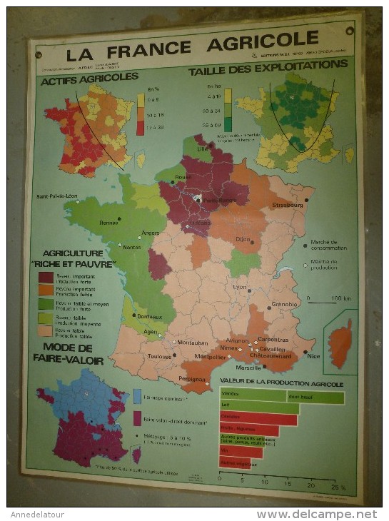 Carte Géographique Couleur (124cm X 90cm) Plastifiée 2 Faces  LA FRANCE AGRICOLE   (vignes, Blé , Cheptel....etc) - Cartes Géographiques