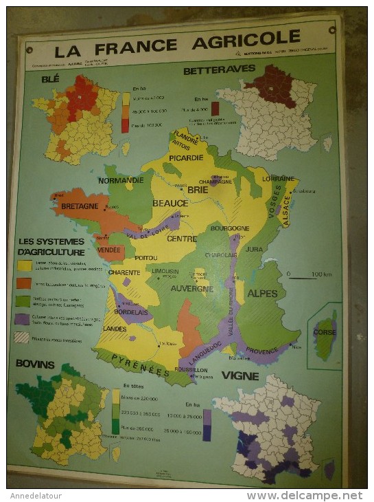 Carte Géographique Couleur (124cm X 90cm) Plastifiée 2 Faces  LA FRANCE AGRICOLE   (vignes, Blé , Cheptel....etc) - Carte Geographique