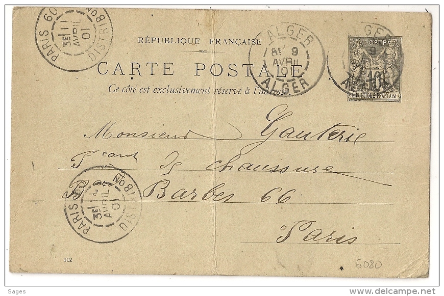 PARIS 60 DISTRIBon Sur ENTIER SAGE, ALGER, Algérie. PEU COMMUN - 1877-1920: Période Semi Moderne