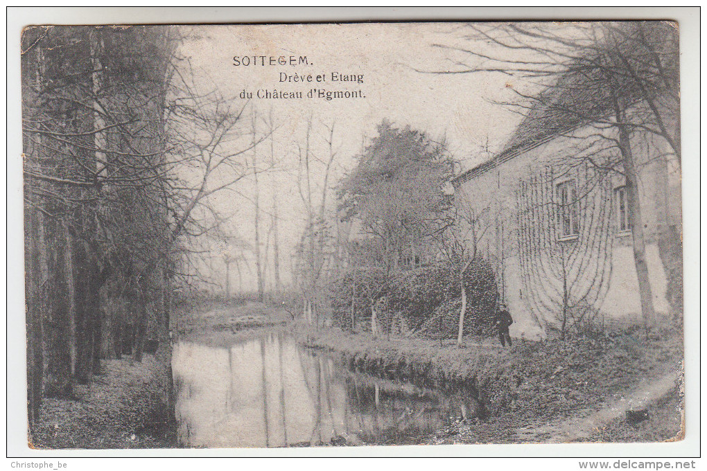 Zottegem, Sottegem, Drève Et étang Du Château D´Egmont (pk23196) - Zottegem