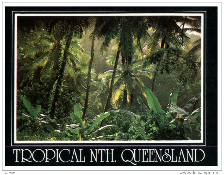 (553) Australia - QLD - Tropical Forest - Far North Queensland