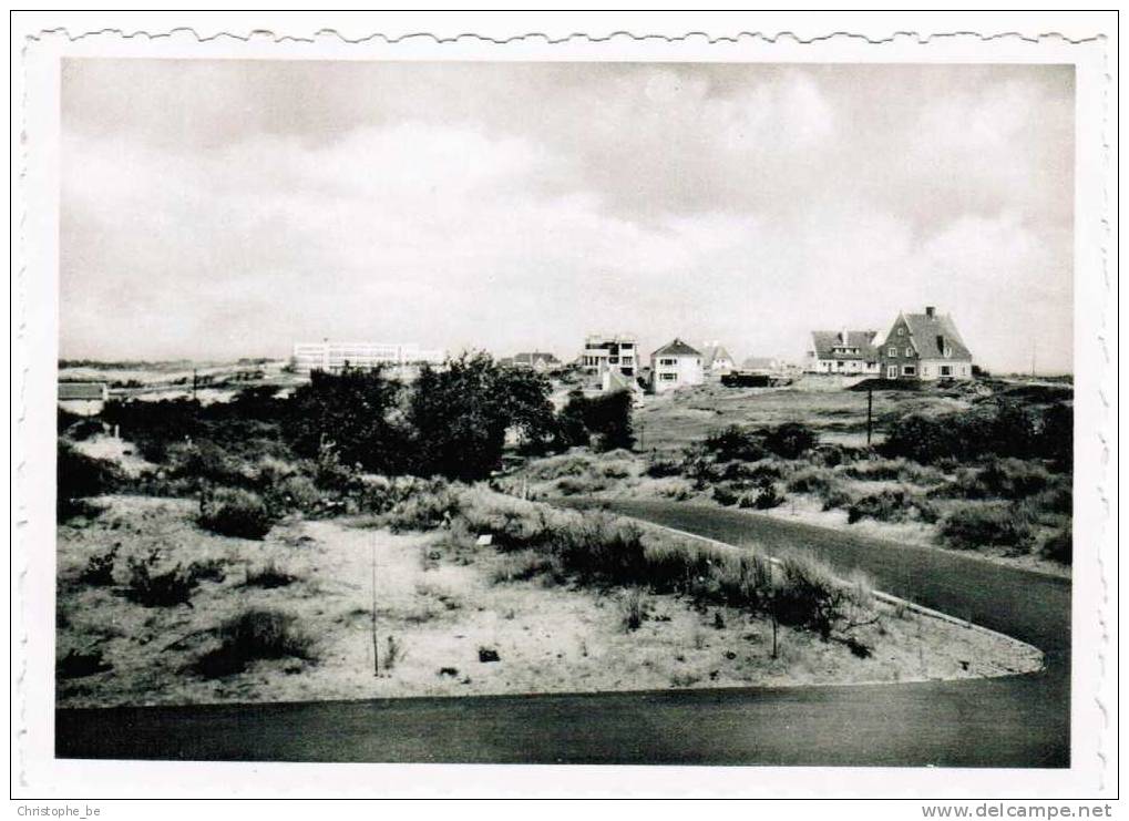 Oude Postkaart Oostduinkerke Panorama Du Duinpark (privékaart Van Hof Ter Duinen) (pk400) - Oostduinkerke