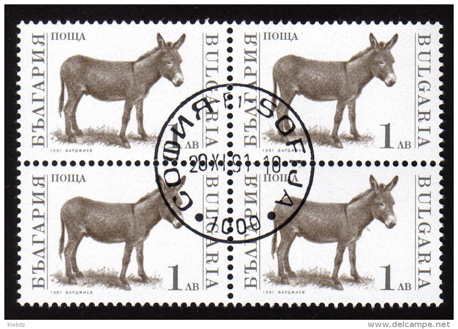 BULGARIEN 1991 - Esel Donkey - 4er Block - Anes