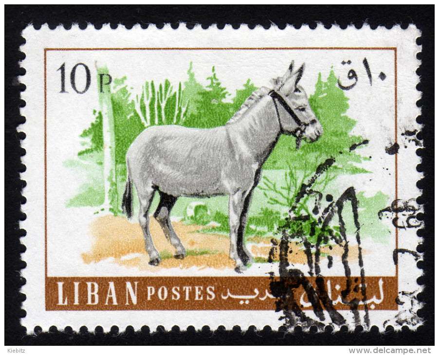 LIBANON 1968 - Esel, Donkey - Burros Y Asnos