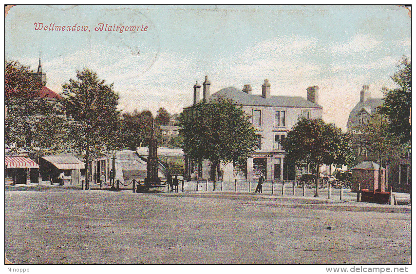 Australia New South Wales 1905 Postcard Wellmeadow, Used - World