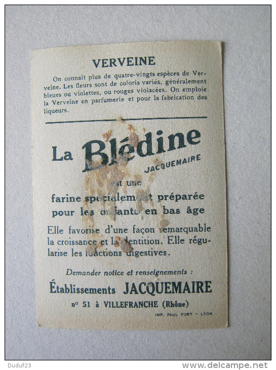 CHROMO  BLEDINE JACQUEMAIRE : THEME FLEUR - VERVEINE - Otros & Sin Clasificación