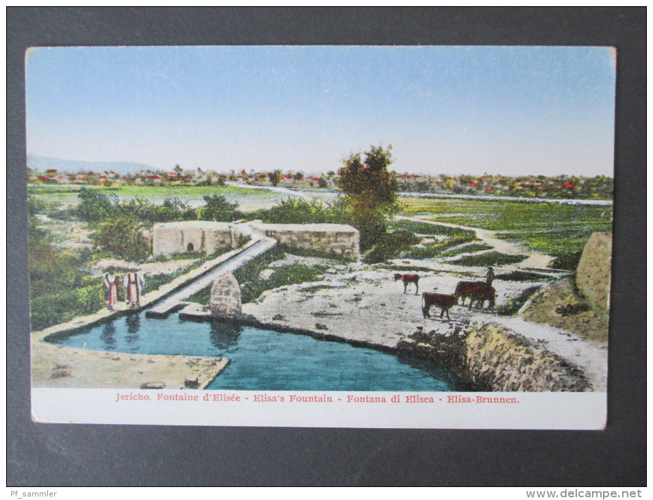 Old Postcard Jericho. Fontaine D`Elisée - Elisa's Fountain. Elisa Brunnen. Ungelaufen! - Israel