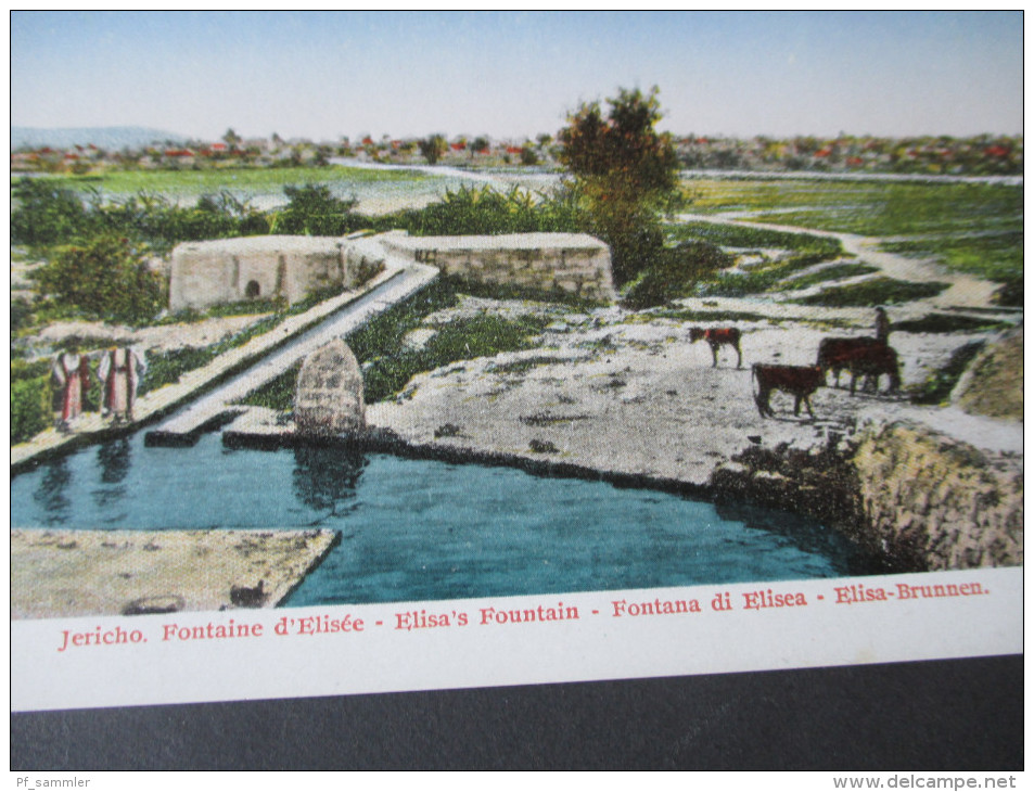 Old Postcard Jericho. Fontaine D`Elisée - Elisa's Fountain. Elisa Brunnen. Ungelaufen! - Israel
