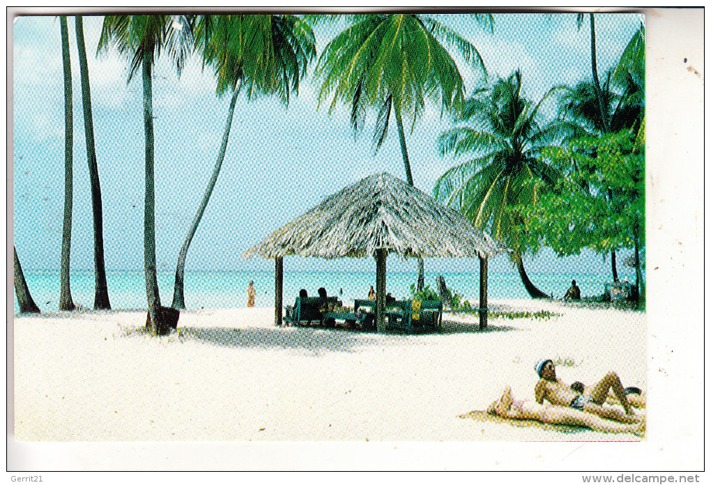 TOBAGO, Pigeon Point Beach, Robinson Crusoe's Island - Trinidad