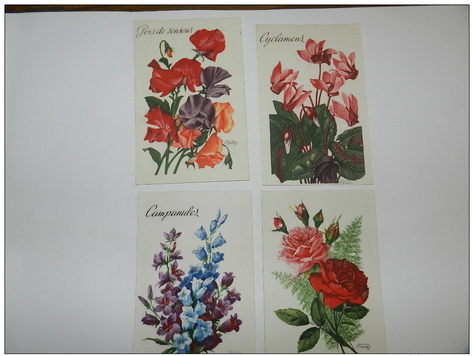 4 CARTE POSTALE HENRY EAU FORTE   - POIS SENTEUR / CYCLAMENS / ROSES / CAMPANULES - Fiori